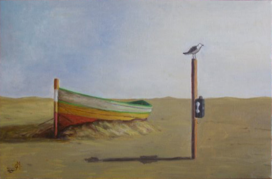 2. BARCA NEL DESERTO (settembre 2008)
