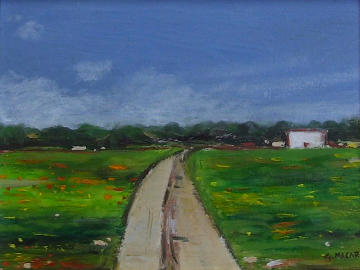 33. SALENTO (anno 2011)