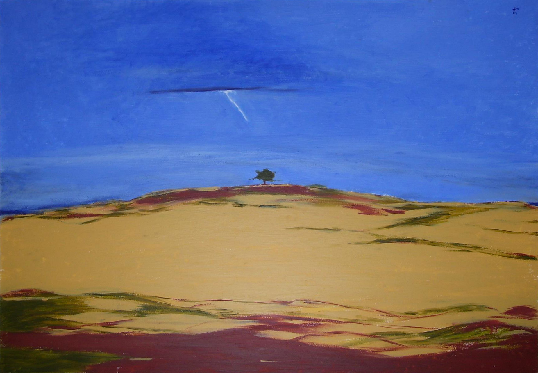 39. SOLITARIO (acrilico su tavola - 50x70 cm - ottobre 2011)